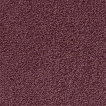 Preview: Draufsicht auf Vorwerk Mira 1P98